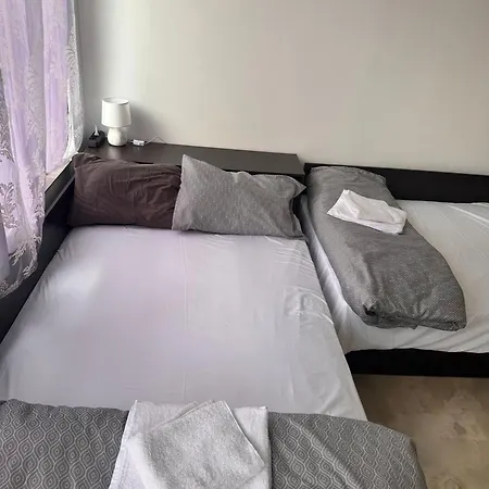 310 普里莫尔斯科